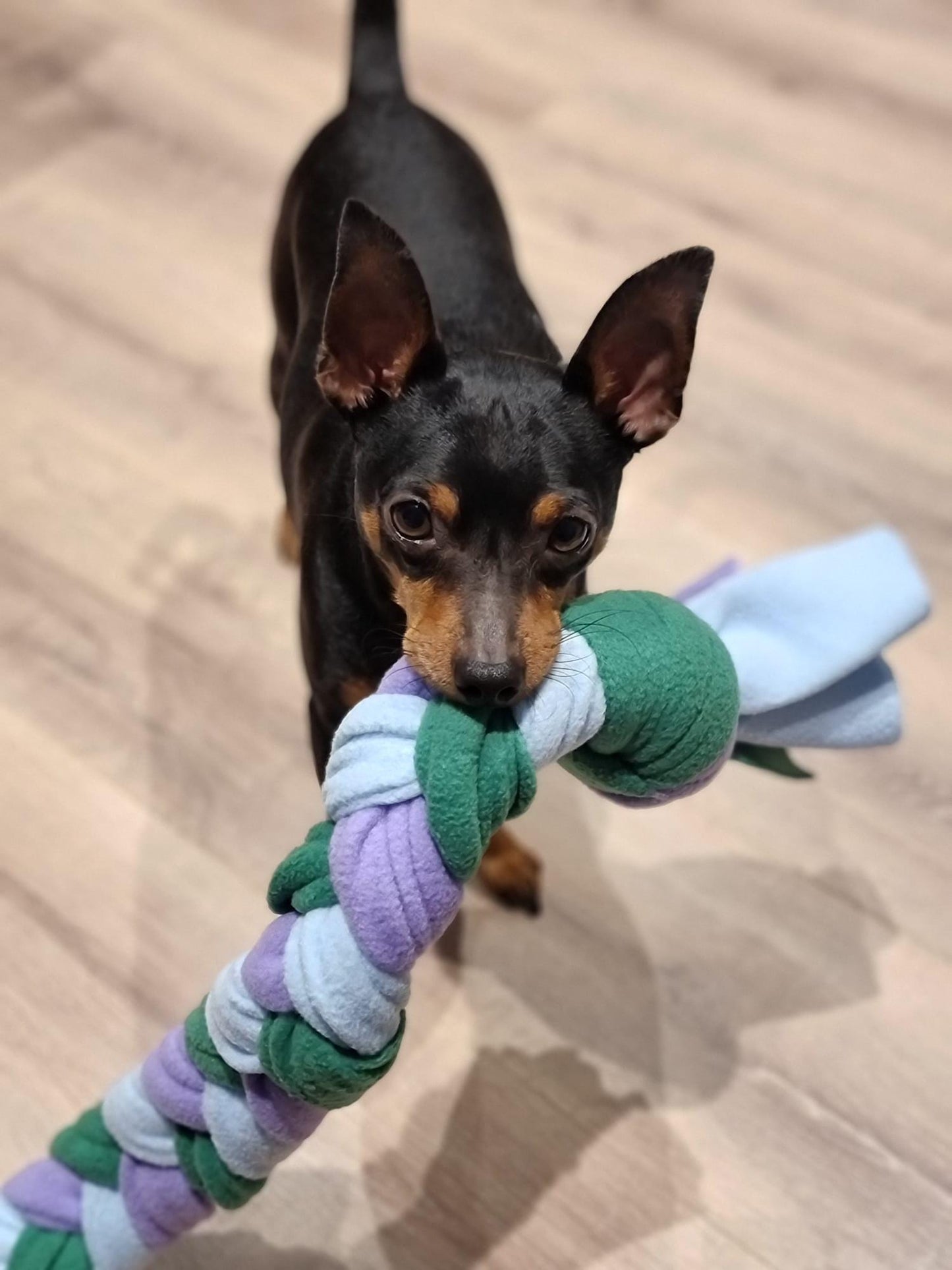 Handmade Fleece Snuffle Plait Dog Toy | Enrichment, Treat Hiding, Slow Feeding Boredom Buster