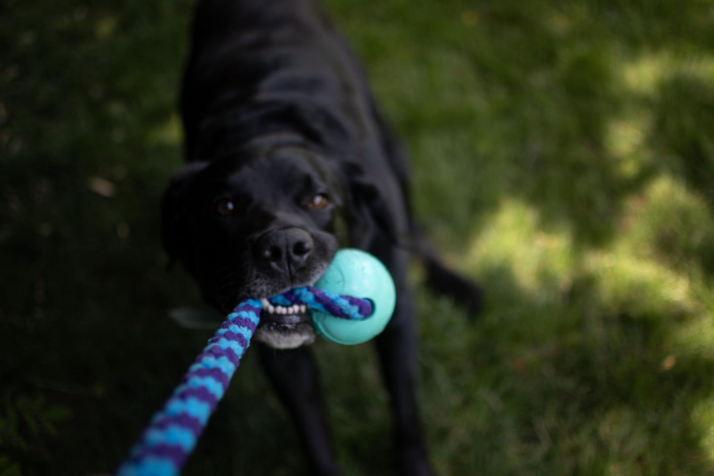 Handmade Fleece Dog Tug Toy: Durable Braided Ball