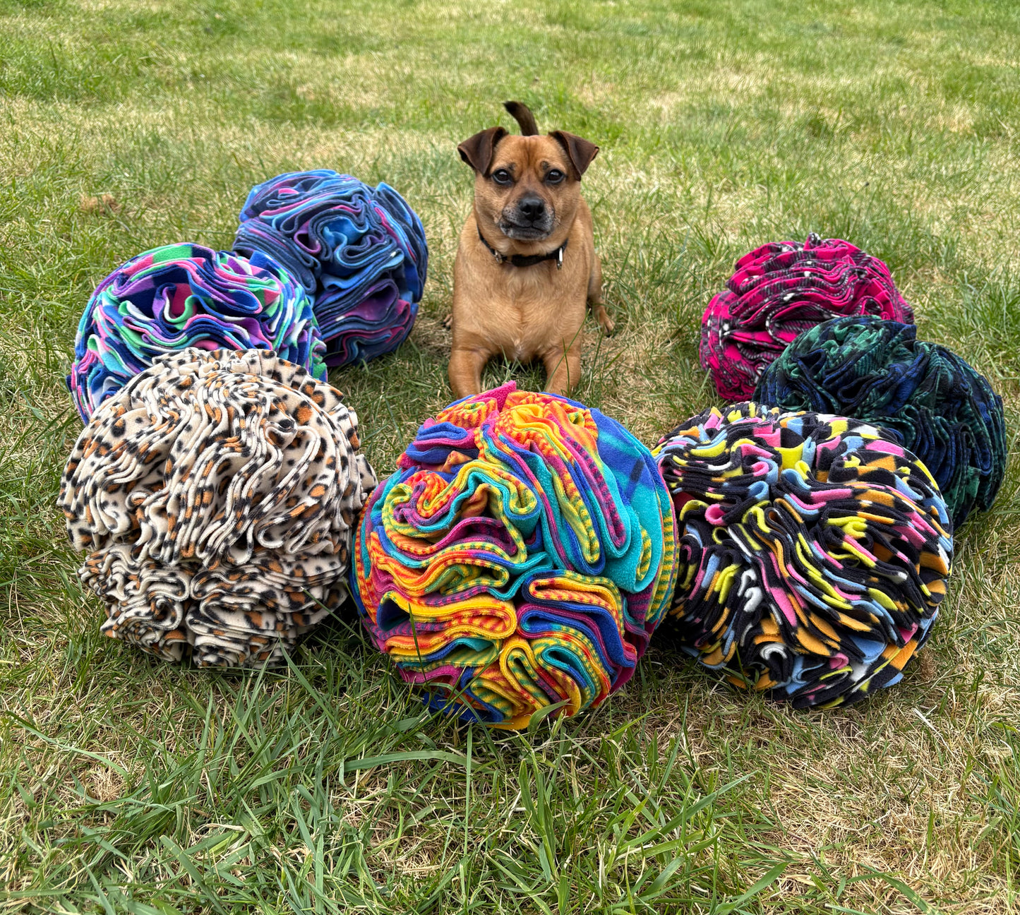 XL snuffle ball, 10 inches, pet enrichment, enrichment toy