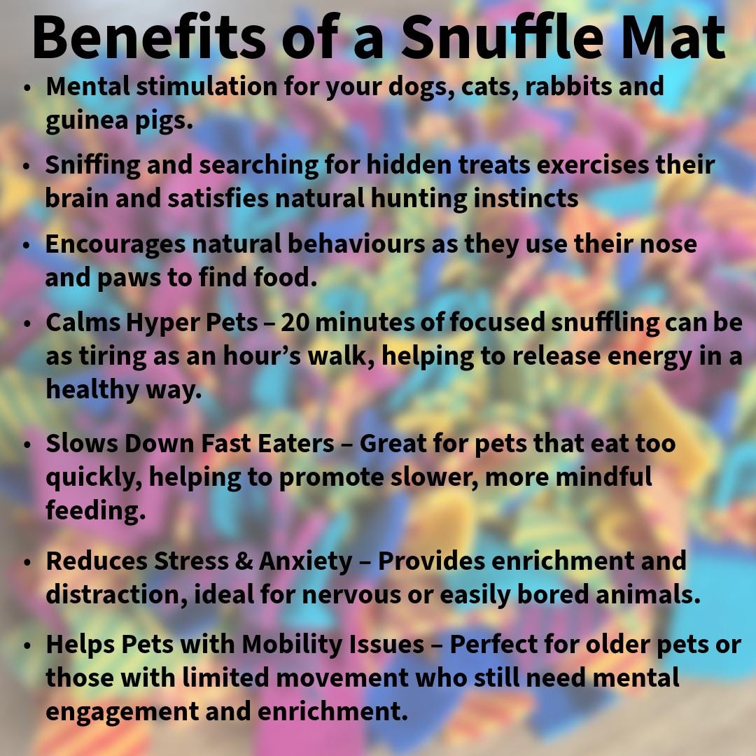 Medium Snuffle Mat for Dogs | Dog Enrichment Toy